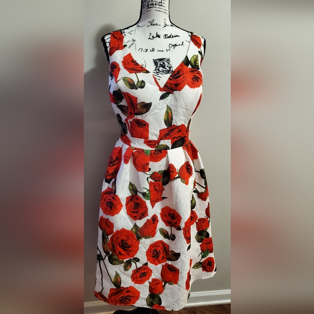 ModCloth Unique Vintage Chi Chi London High Tea Red Rose Formal Dress Size 20 - Picture 4 of 16